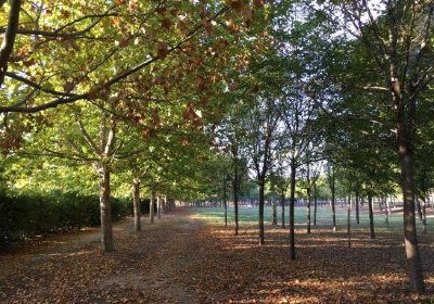 Parc Municipal de Sant Vicent