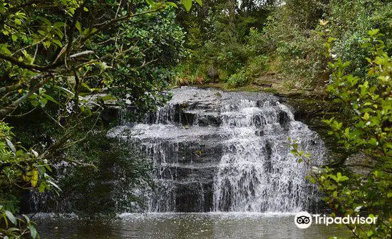 Gills Scenic Reserve