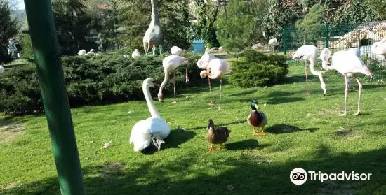 Canakcilar Hayvanat Bahcesi ve Botanik Park