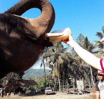 Elephant Conservation Park