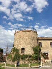 Polo Museale Civico: Museo Archeologico Torrione "La Rocca"