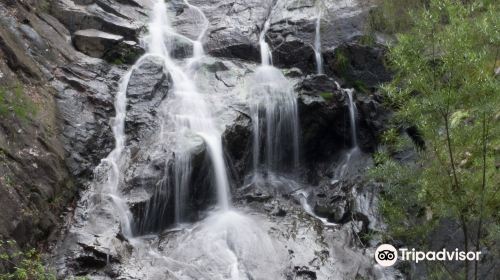 Beedelup National Park