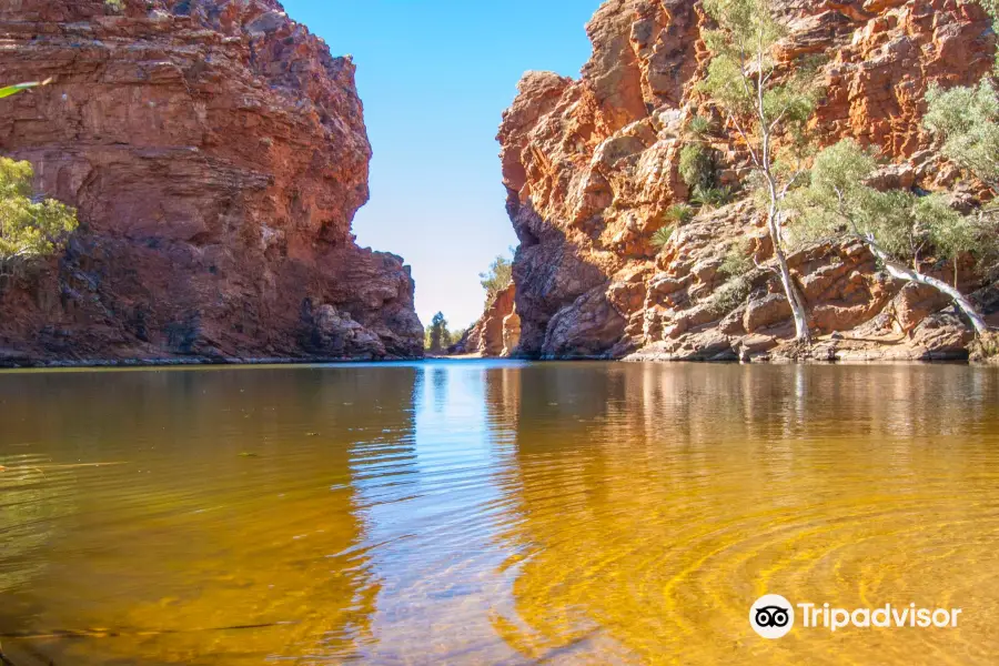 Ellery Creek Big Hole