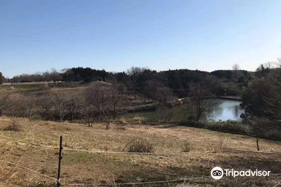 谷津の里 いちご農園