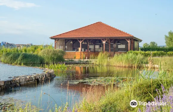 日出全套房度假酒店 - 全包