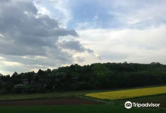 扎博飛賽福酒店