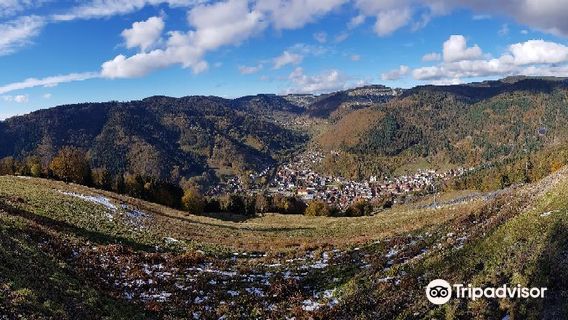 Blue Fire Megacoaster