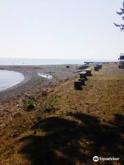 Imazuhama Swimming Beach