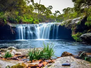 Minnamurra Rainforest Centre