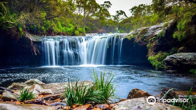 Minnamurra Rainforest Centre