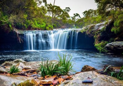 Minnamurra Rainforest Centre - Budderoo National Park