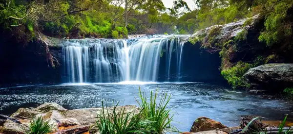 Hotels in Jamberoo