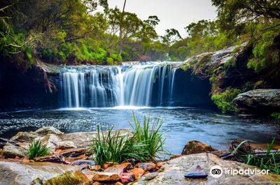 Minnamurra Rainforest Centre