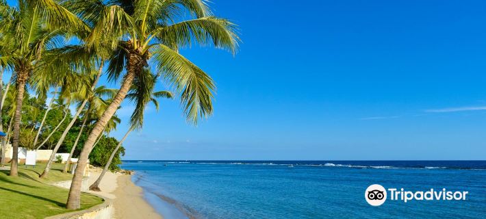 Las Olas by Destinos1a Hotels in Guayacanes