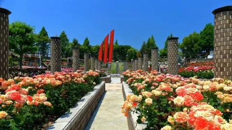 Itami travel destination