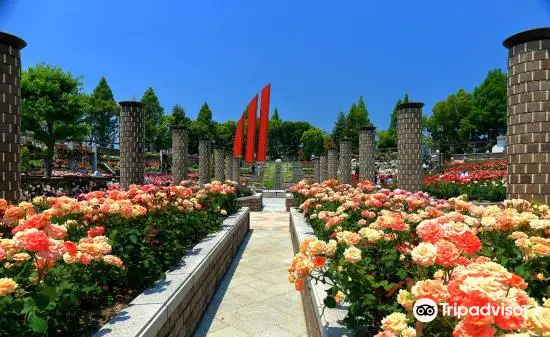 Aramaki Rose Park