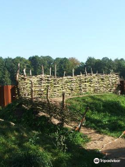 Battle of the Teutoburg Forest (Varus Battle) in the Osnabrücker Land Museum & Park Kalkriese
