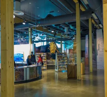 ヘーンズ・ジャンクション