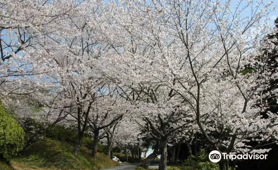 Jagatani Park