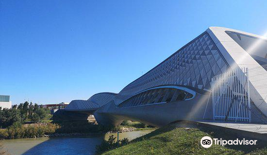 Zaragoza