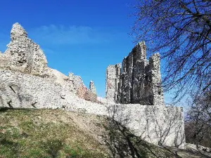 Castle Oponice (Appony)