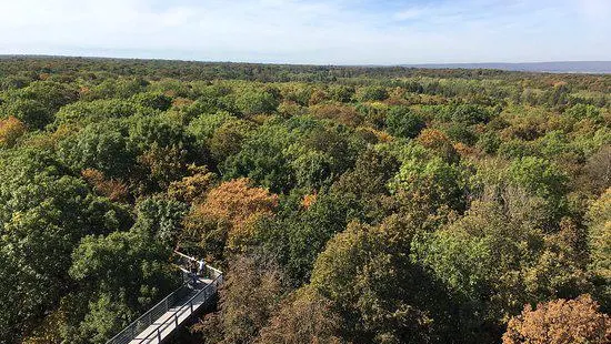 Baumkronenpfad Hainich