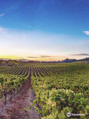 Notre Vue Estate Winery & Vineyards