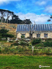 Maunganui Stone Cottage