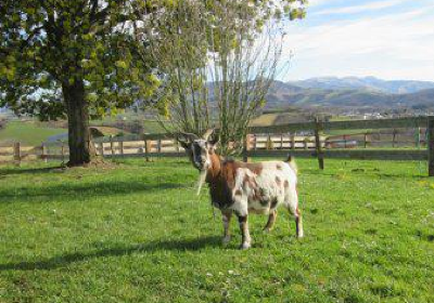 Ferme Salaberry