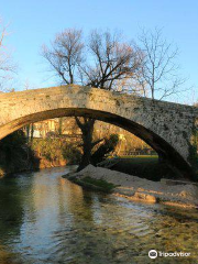 Ponte di San Francesco