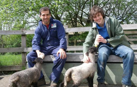 Swansea Community Farm