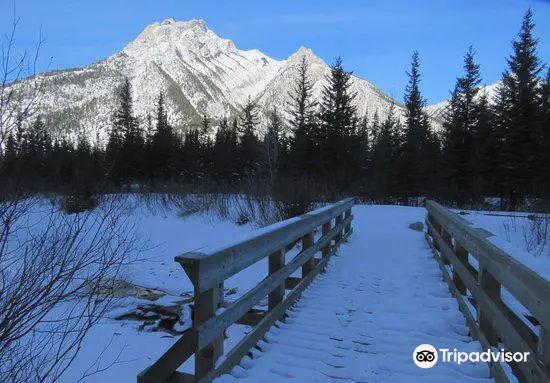 Mt Lorette Ponds