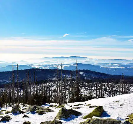 Hotels in Waldhauserwald