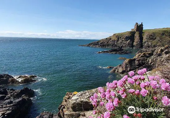 Dunskey Castle