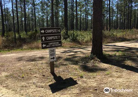 Cary State Forest