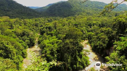 Amboro National Park