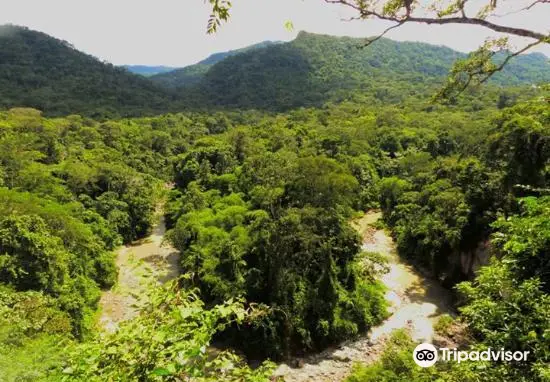 Amboro National Park