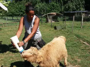 DOMAINE DE OUEZY - FERME PEDAGOGIQUE DE OUEZY