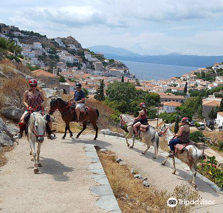 Latest travel itineraries for Harriets Hydra Horses in October (updated in  2023), Harriets Hydra Horses reviews, Harriets Hydra Horses address and  opening hours, popular attractions, hotels, and restaurants near Harriets  Hydra Horses -