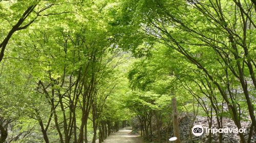 剛泉山郡立公園