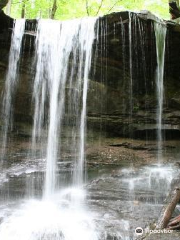 Frozen Head State Park