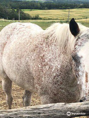 Ferme C'est la Faute des Biquettes