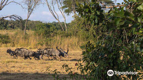 Haka Game Park