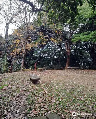 Minami Park