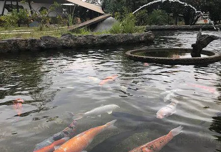 Municipal park Eng Salvador Arena