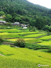 Sakaori Terraced Rice Fields