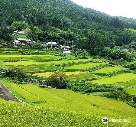 Sakaori Terraced Rice Fields