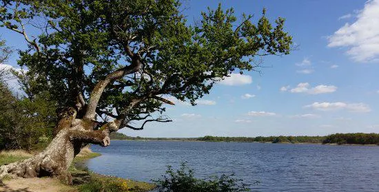 Etangs de la Brenne