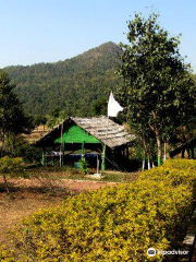 Satkosia Gorge Sanctuary