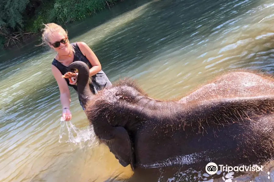 Elephant Carer Home